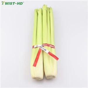 Jäljitettävä kaksiulotteinen koodi kasvissolmio